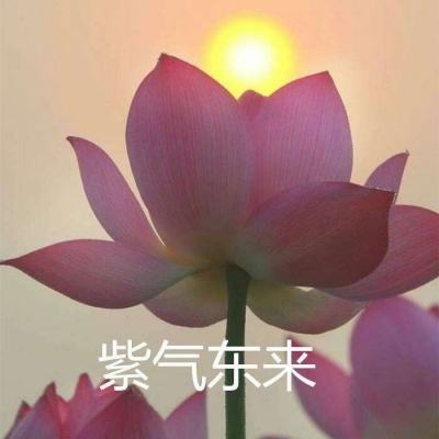 万古仙踪手游破解版下载